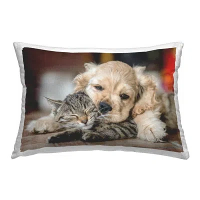 Stupell Industries Cuddling Puppy & Kitten Decorative Printed Throw Pillow By Peter Cech In Brown;gray;beige
