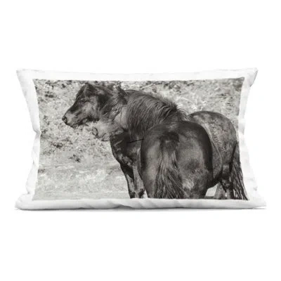 Stupell Industries Dartmoor Ponies Duo Decorative Printed Throw Pillow, Design By Deborah Revell In Black