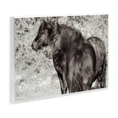 Stupell Industries Dartmoor Ponies Duo Wall Plaque Art, Design By Deborah Revell In Black