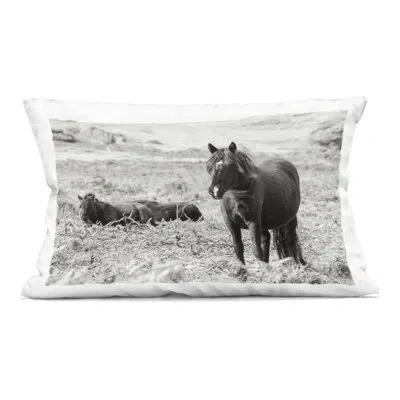 Stupell Industries Dartmoor Ponies Lounging Decorative Printed Throw Pillow, Design By Deborah Revell In Black