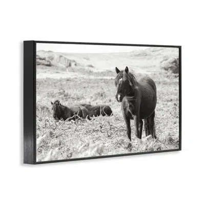 Stupell Industries Dartmoor Ponies Lounging Framed Giclee Art, Design By Deborah Revell In Midnight Black Framed Giclee