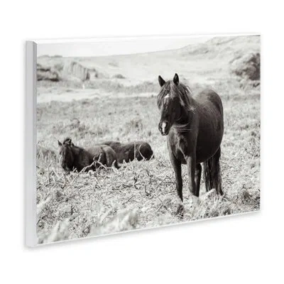 Stupell Industries Dartmoor Ponies Lounging Wall Plaque Art, Design By Deborah Revell In Black