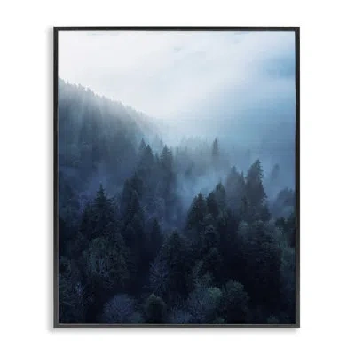 Stupell Industries Daylight Over Pine Forest Giclee Art By Unsplash In Midnight Black Framed Giclee
