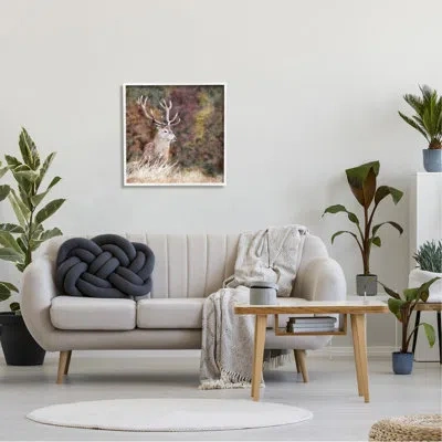 Stupell Industries Deer In Forest Nature By Lsr Design Studio In Coastal White Framed Giclee