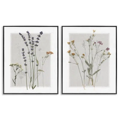 Stupell Industries Delicate Wildflower Herb Sprigs Lavender Nature Botanicals By Carol Robinson - 2 Piece Floater Frame In Midnight Black Framed Giclee