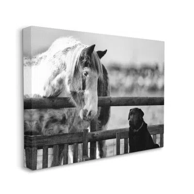 Stupell Industries Dog & Horse Farm Animal Friends By James Dobson - Floater Frame Photograph In Wrapped Canvas