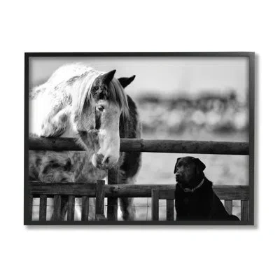 Stupell Industries Dog & Horse Farm Animal Friends Monochrome By James Dobson - Floater Frame Photograph On Wood In Midnight Black Framed Giclee