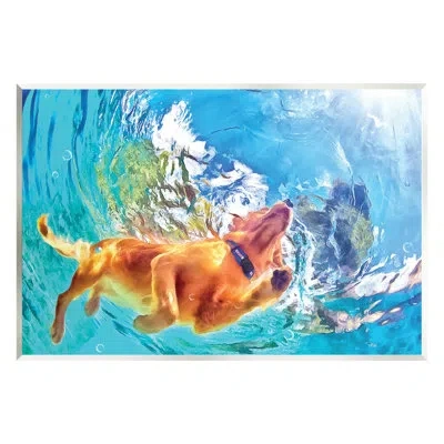Stupell Industries Dog Swimming Underwater Canvas Wall Art Design By Masey St. Studios In Blue
