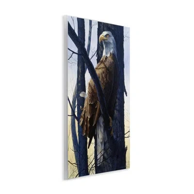 Stupell Industries Eagle's Light Majestic View Wall Plaque Art, Design By Tom Antonishak In Brown