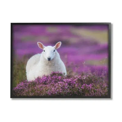 Stupell Industries Elegant White Sheep Among Purple Flower Meadow - Floater Frame Photograph On Canvas In Midnight Black Framed Giclee