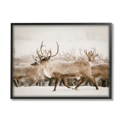 Stupell Industries Elk Herd Snowy Winter Scene By Krista Broadway - Floater Frame Photograph On Wood In Midnight Black Framed Giclee
