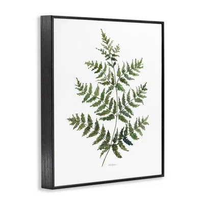 Stupell Industries Flared Fern Branches Framed Giclee Art, Design By Carol Robinson In Midnight Black Framed Giclee