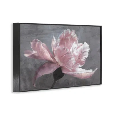 Stupell Industries Flared Flower Petals Giclee Framed Wall Art Design By Shirley G. In Midnight Black Framed Giclee