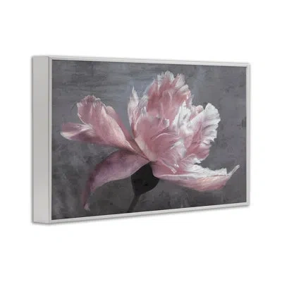 Stupell Industries Flared Flower Petals Giclee Framed Wall Art Design By Shirley G. In Pink