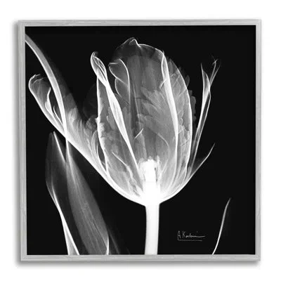 Stupell Industries Flower X-ray On Black On Canvas Photograph