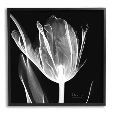 Stupell Industries Flower X-ray On Black On Canvas Photograph In Midnight Black Framed Giclee