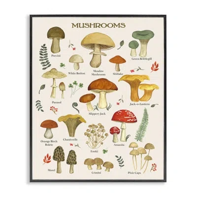 Stupell Industries Foraging Mushrooms Studies Canvas Wall Art Design By Sharon Lee In Midnight Black Framed Giclee