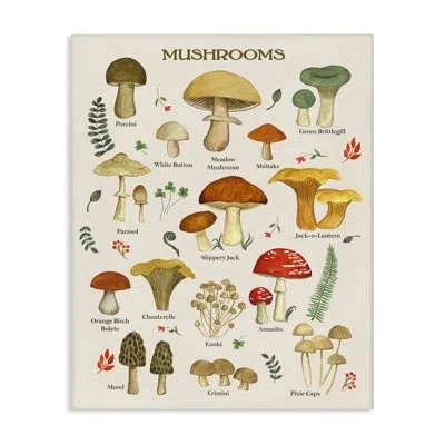 Stupell Industries Foraging Mushrooms Studies Canvas Wall Art Design By Sharon Lee In White