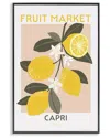 Stupell Industries Fruit Market Lemon Branch Framed Giclee Art In Multi