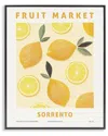 Stupell Industries Fruit Market Lemons Framed Giclee Art In Multi
