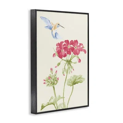 Stupell Industries Geraniums & Hummingbird  Giclee Art By Patricia Pinto In Midnight Black Framed Giclee