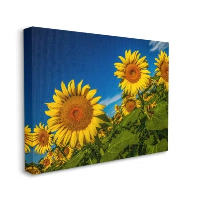 Stupell Industries Gorgeous Sunflower Field Summery Blue Clouds Sky By Steve Smith - Floater Frame Photograph On Canvas In Wrapped Canvas
