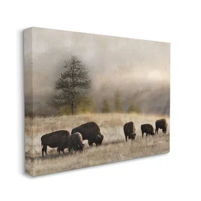 Stupell Industries Grazing Bison Rural Grassland Meadow By Danita Delimont - Floater Frame Photograph In Wrapped Canvas