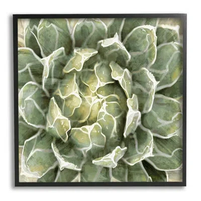 Stupell Industries Green Botanical Plant Leaves Framed On Wood By Lindsay Benson Painting In Midnight Black Framed Giclee