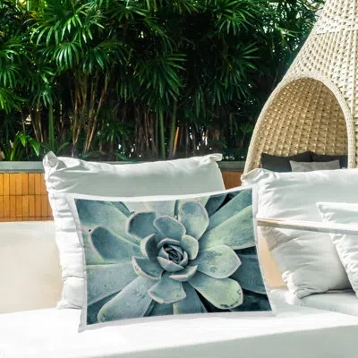 Stupell Industries Green Cactus Succulent Printed Outdoor Throw Pillow Design By Susan Bryant
