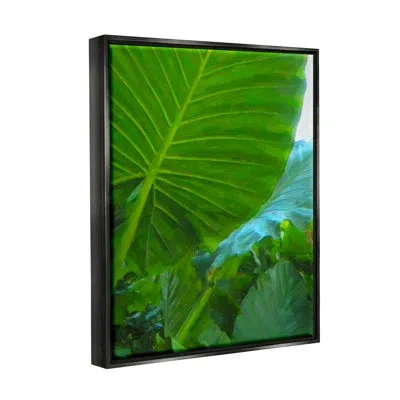 Stupell Industries Green Palm Leaf Painting Canvas Wall Art Design By Graffi*tee Studios In Jet Black Floater Frame