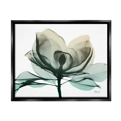 Stupell Industries Green X-ray Flower On Canvas Photograph In Jet Black Floater Frame