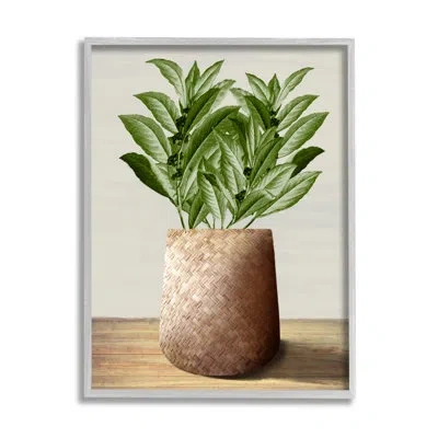 Stupell Industries Greenery In Woven Planter Framed On Wood By Marcus Prime Print In Farmhouse Gray Framed Giclee