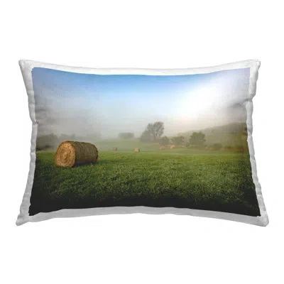 Stupell Industries Hay Bales Country Horizon Decorative Printed Throw Pillow By Marty Hulsebos In Green