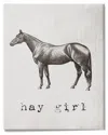 Stupell Industries Hay Girl Funny Horse Pun Vintage Equestrian Portrait Stretched Canvas Wall Art By Daphne In Off-white