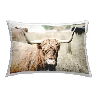 Stupell Industries Highland Cattle In Field Decorative Printed Throw Pillow Design By Sd Graphics Studio In Brown