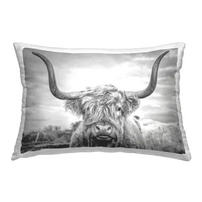 Stupell Industries Highland Cattle View Decorative Printed Throw Pillow Design By Jasper Huish In Gray