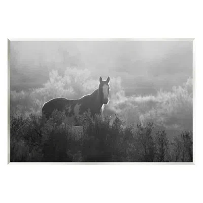 Stupell Industries Horse In Nature Trees On Canvas By Steve Toole In Wrapped Canvas