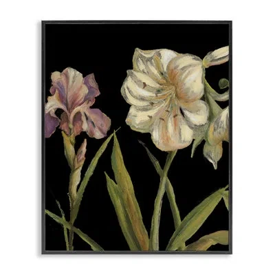 Stupell Industries Iris Flowers On Framed Giclee Art By Patricia Pinto In Midnight Black Framed Giclee