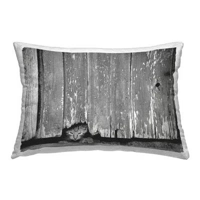 Stupell Industries Kitten Peeking Barn Outdoor Printed Pillow By Steve Toole In Black