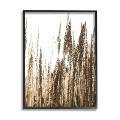 Stupell Industries Light Ray Though Wheat Field Giclee Texturized Wall Art By Susan Ball In Midnight Black Framed Giclee