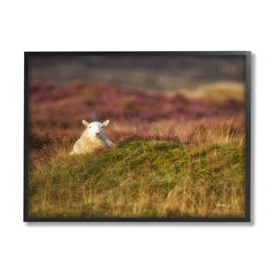 Stupell Industries Lone Sheep In Meadow Rural Countryside Farmland - Floater Frame Photograph On Wood In Midnight Black Framed Giclee