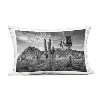Stupell Industries Looming Cacti & Canyon View Outdoor Printed Pillow, Design By David Drost In Black