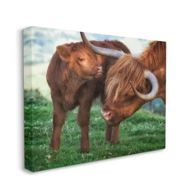 Stupell Industries Loving Longhorn Cattle Nuzzling Calf Heartwarming Animals By James Dobson - Floater Frame Photograph In Wrapped Canvas