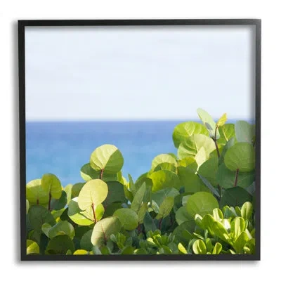 Stupell Industries Lush Greenery Plants Distant In Midnight Black Framed Giclee