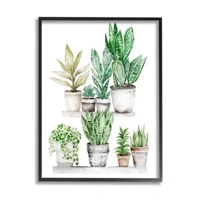 Stupell Industries Mixed Greenery Potted Ivy Plants By Ziwei Li In Midnight Black Framed Giclee