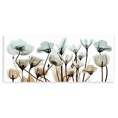 Stupell Industries Mixed X-ray Flowers By Albert Koetsier
