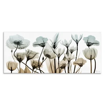 Stupell Industries Mixed X-ray Flowers On Canvas Photograph In Blue