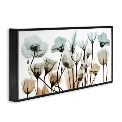 Stupell Industries Mixed X-ray Flowers On Canvas Photograph In Midnight Black Framed Giclee