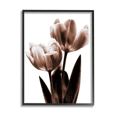 Stupell Industries Modern Tulip Silhouette Duo By Caroline Kelly - Floater Frame Photograph On Wood In Midnight Black Framed Giclee