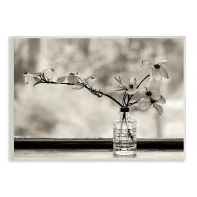 Stupell Industries Monochrome Botanical Orchid Flower Windowsill By Kelly Sinclair - Photograph In Wall Plaque